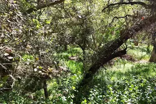 9237 Harmony Grove, Escondido, CA 92029 - Photo 13