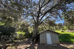 28843 Angel Mountain Rd, Santa Ysabel, CA 92070 - Photo 25