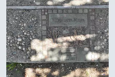 28843 Angel Mountain Road, Santa Ysabel, CA 92070 - Photo 1