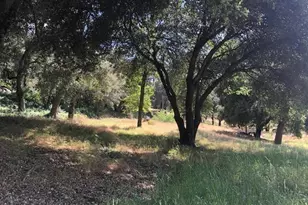 28843 Angel Mountain Rd, Santa Ysabel, CA 92070 - Photo 39