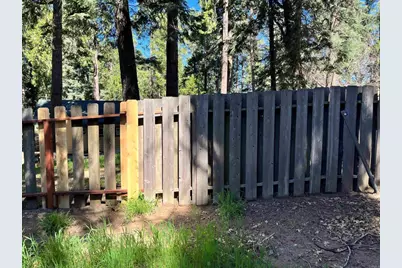  Crestline Road, Palomar Mountain, CA 92082 - Photo 3