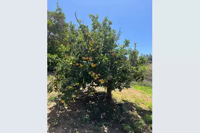 2073 Willow Glen Road, Fallbrook, CA 92028 - Photo 31