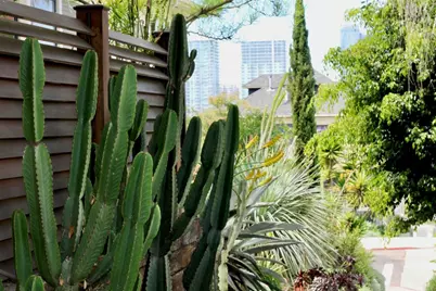 1079 21st Street, San Diego, CA 92102 - Photo 27