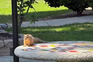 5999 Rancho Mission Rd, San Diego, CA 92108 - Photo 43