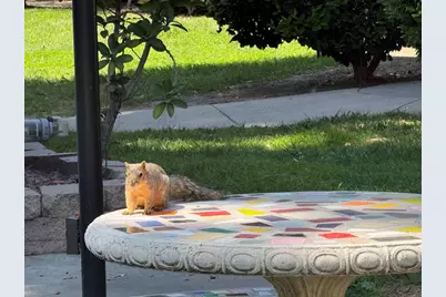 5999 Rancho Mission Road #213, San Diego, CA 92108 - Photo 37