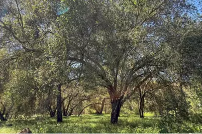 26940 Paradise Meadow Lane, Valley Center, CA 92082 - Photo 65