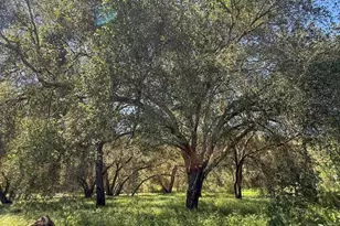 26940 Paradise Meadow Ln, Valley Center, CA 92082 - Photo 65