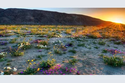  Palm Canyon Dr Lots 283 & 284, Borrego Springs, CA 92004 - Photo 5