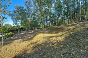 2830 Green Canyon Rd, Fallbrook, CA 92028 - Photo 33