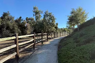 1564 Manzanita Hollows Ln, Vista, CA 92084 - Photo 41