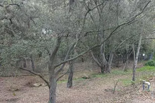 4747 Oak Crest Road, Fallbrook, CA 92028 - Photo 37