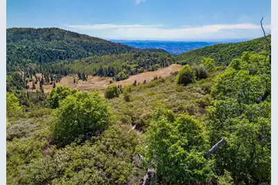 200 +/- Acres Palomar Divide Truck Trail, Palomar Mountain, CA 92060 - Photo 15