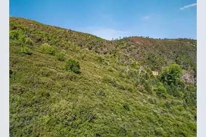 200 +/- Acres Palomar Divide Truck Trail, Palomar Mountain, CA 92060 - Photo 9