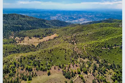200 +/- Acres Palomar Divide Truck Trail, Palomar Mountain, CA 92060 - Photo 3