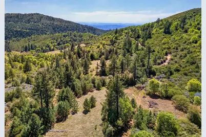 200 +/- Acres Palomar Divide Truck Trail, Palomar Mountain, CA 92060 - Photo 5