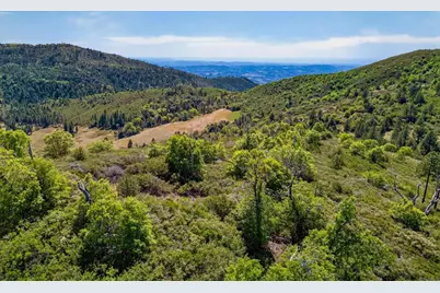 200 +/- Acres Palomar Divide Truck Trail, Palomar Mountain, CA 92060 - Photo 17