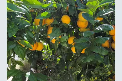 200 N El Camino Real #79, Oceanside, CA 92058 - Photo 13