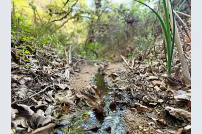 0 Mt Olympus Valley Road, Fallbrook, CA 92028 - Photo 21