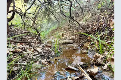 0 Mt Olympus Valley Road, Fallbrook, CA 92028 - Photo 7