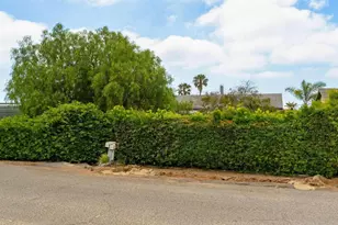 852 Dewitt Ave, Encinitas, CA 92024 - Photo 41