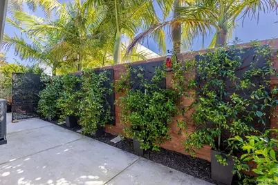 8675 Glenwick Lane, La Jolla, CA 92037 - Photo 33