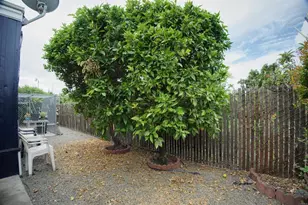 1600 E Vista Way, Vista, CA 92084 - Photo 23