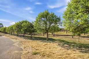 18131 Traylor Rd, Ramona, CA 92065 - Photo 51