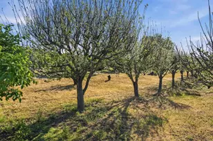 18131 Traylor Rd, Ramona, CA 92065 - Photo 47