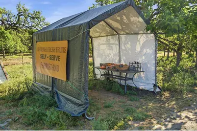 18131 Traylor Road, Ramona, CA 92065 - Photo 57