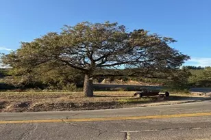 25561 E Old Julian Hwy, Ramona, CA 92065 - Photo 7