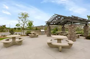 3143 Asto Pl, Carlsbad, CA 92010 - Photo 53