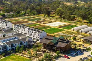 1600 San Remo Pl, Encinitas, CA 92024 - Photo 41