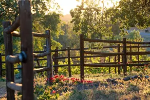 31907 Calle El Potrero, Pauma Valley, CA 92061 - Photo 31