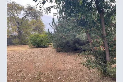 3328 Roosevelt Street, Carlsbad, CA 92008 - Photo 37