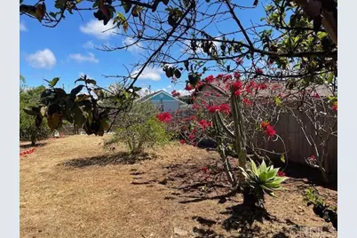 3328 Roosevelt Street, Carlsbad, CA 92008 - Photo 49