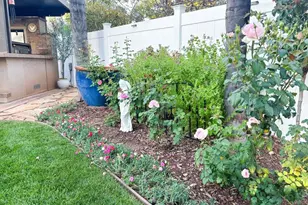 29824 Talitha Way, Murrieta, CA 92563 - Photo 25