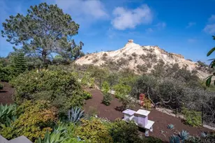 734 Avocado Ct, Del Mar, CA 92014 - Photo 49