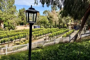 7063 Via Mariposa Norte, Bonsall, CA 92003 - Photo 57