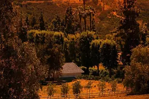 7063 Via Mariposa Norte, Bonsall, CA 92003 - Photo 29