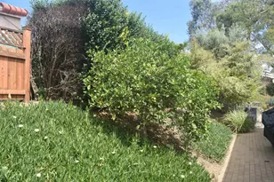 5436 Fairgreen Way, Bonsall, CA 92003 - Photo 31