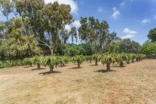 5770 El Montevideo + Via De Fortuna Lot, Rancho Santa Fe, CA 92067 - Photo 45