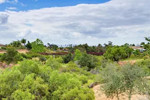 352 Tom McGuinness Jr Circle, Fallbrook, CA 92028 - Photo 57