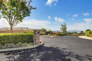 352 Tom McGuinness Jr Circle, Fallbrook, CA 92028 - Photo 53