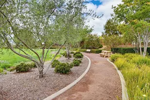 352 Tom McGuinness Jr Circle, Fallbrook, CA 92028 - Photo 55