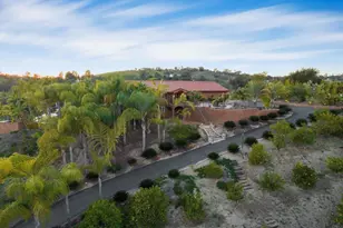 2440 Los Alisos, Fallbrook, CA 92028 - Photo 69