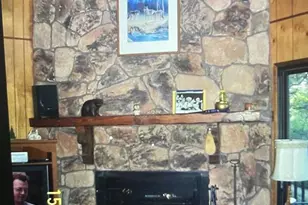 41620 Thrush, Big Bear Lake, CA 92315 - Photo 3