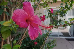 6458 Ficus Pl, Carlsbad, CA 92011 - Photo 41