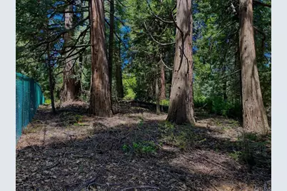 0 .29 / Crestline Road, Palomar Mountain, CA 92060 - Photo 11