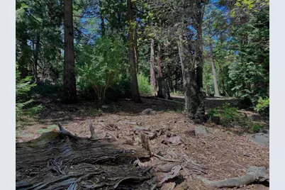 0 .29 / Crestline Road, Palomar Mountain, CA 92060 - Photo 13