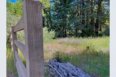 0 .29 / Crestline Road, Palomar Mountain, CA 92060 - Photo 9